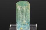 Bi-Colored Aquamarine Crystal - Transbaikalia, Russia #175644-4